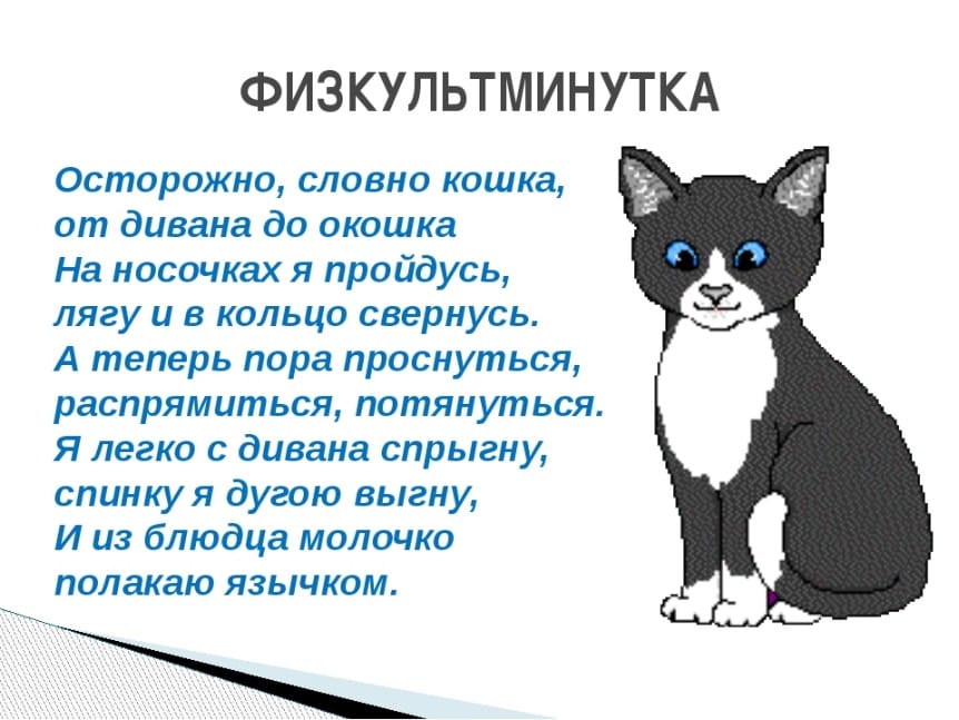 Кошка текст. Физкультминутка домашние животные 2 младшая группа. Физминутка про животных. Физминутка кошка. Физкультминутка для детей про домашних животных.