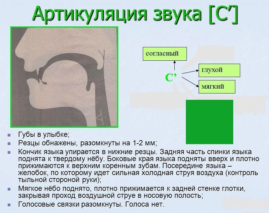 Профиль звука с для детей картинки