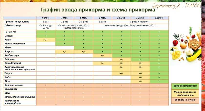 Педагогический прикорм при грудном вскармливании схема