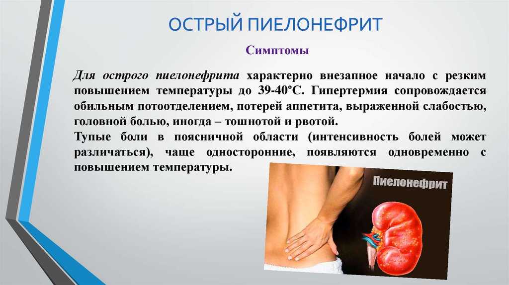 Презентация пиелонефрит беременных