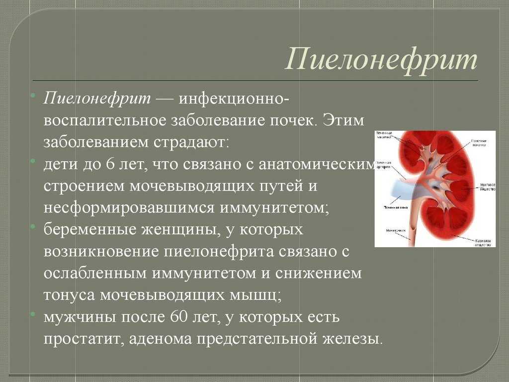 Патология почек при беременности презентация