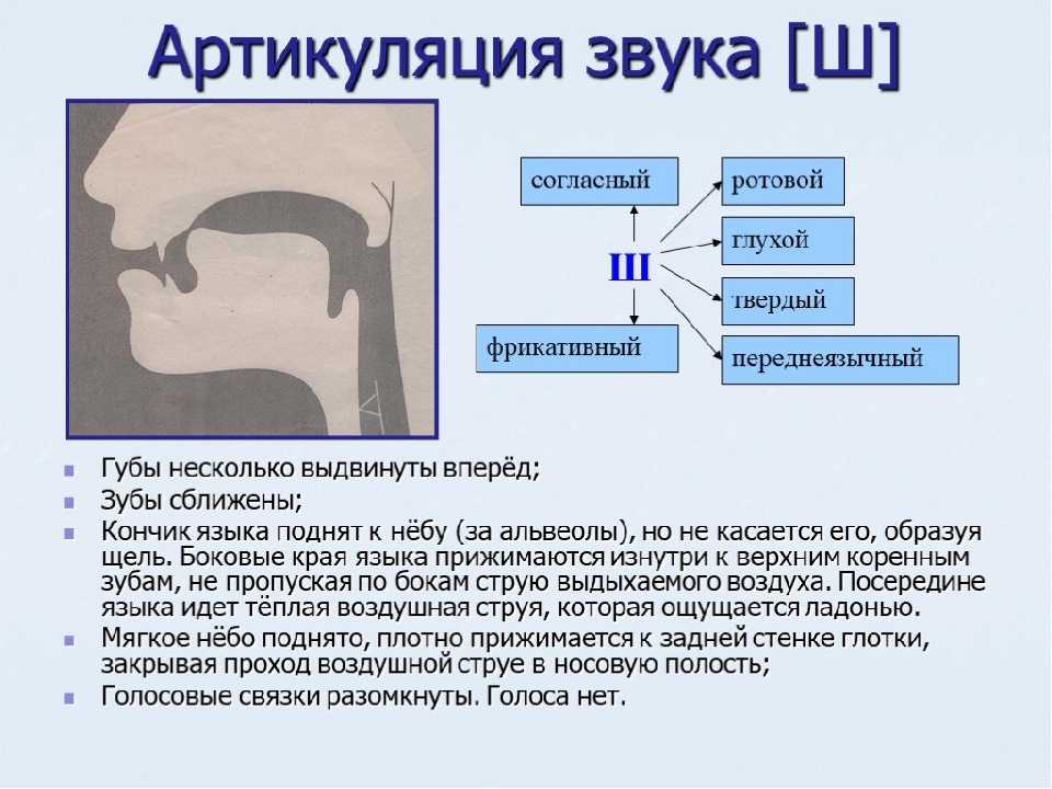 Графическое изображение звуков в логопедии