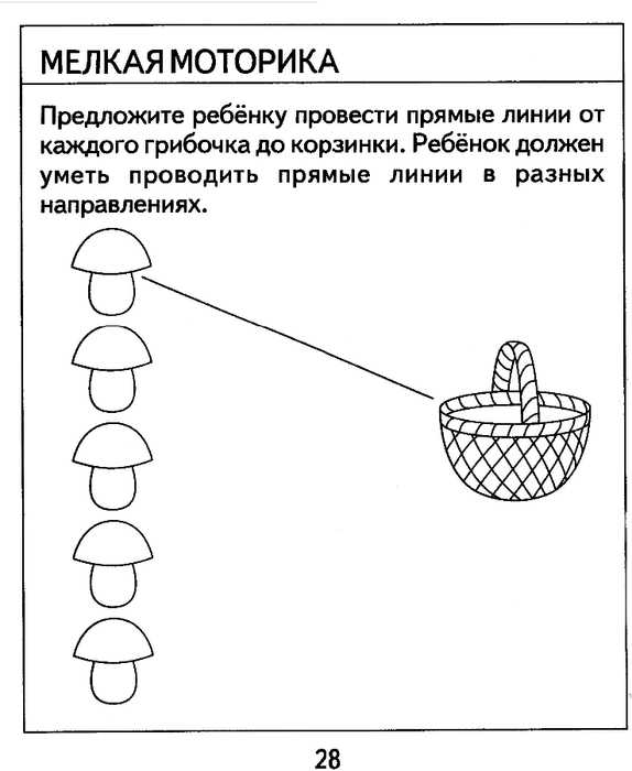 Мелкая моторика для детей 2 3 лет презентация