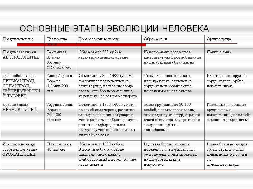 Проект три возраста обществознание 6 класс таблица барабанов