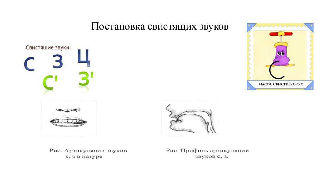 Презентация постановка звука р для дошкольников