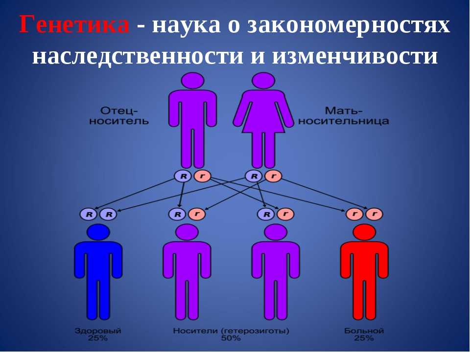 Генетика интеллекта презентация