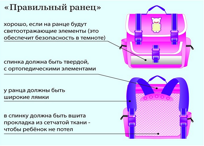 Портфель в проекте это