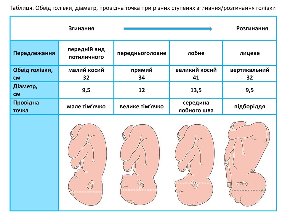 Акушерство в таблицах и схемах