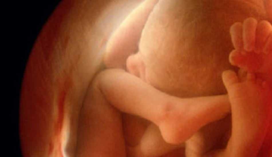 Почему в утробе матери икает. Обвития ребенка в утробе. Малыш в утробе 20 недель.