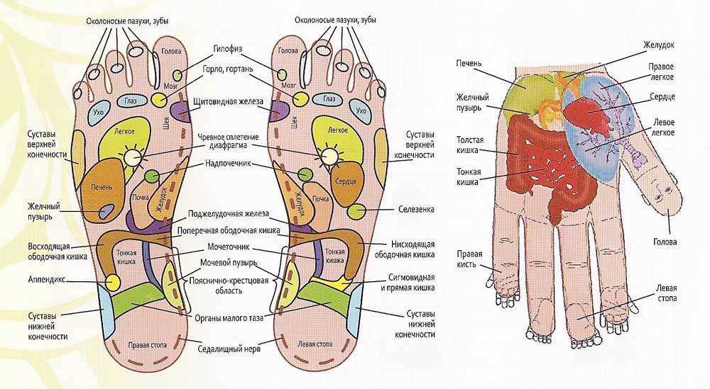 Точки на ногах отвечающие за органы фото с надписями