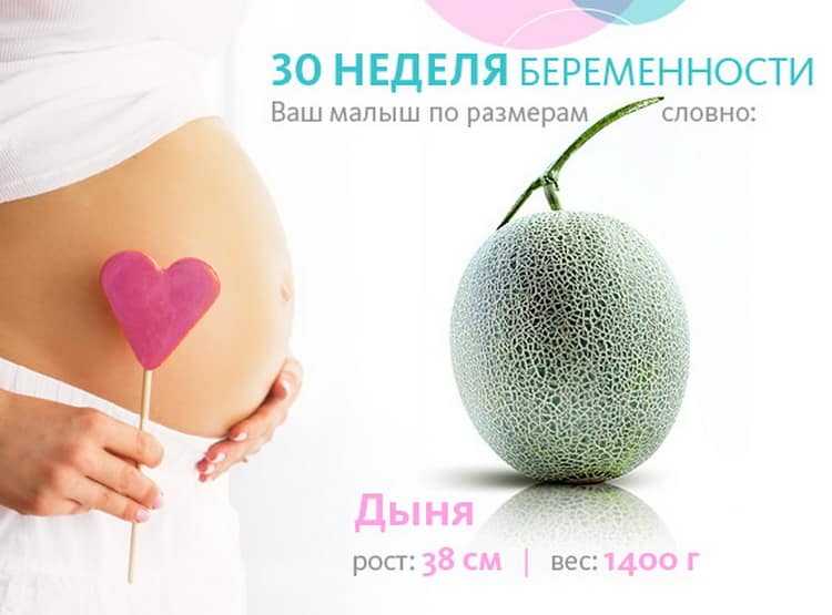 Ваш малыш неделя за неделей. 30неденель беременности. 30 Недель беременности размер малыша. Плод на 30 неделе беременности.