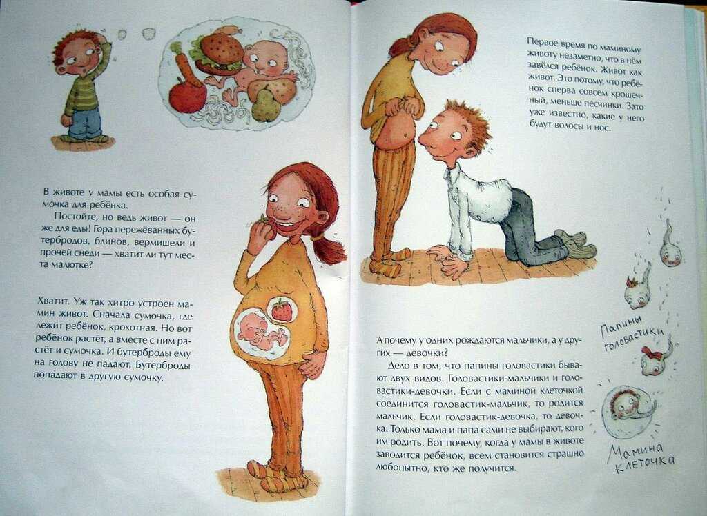 Рассказы про это с картинками