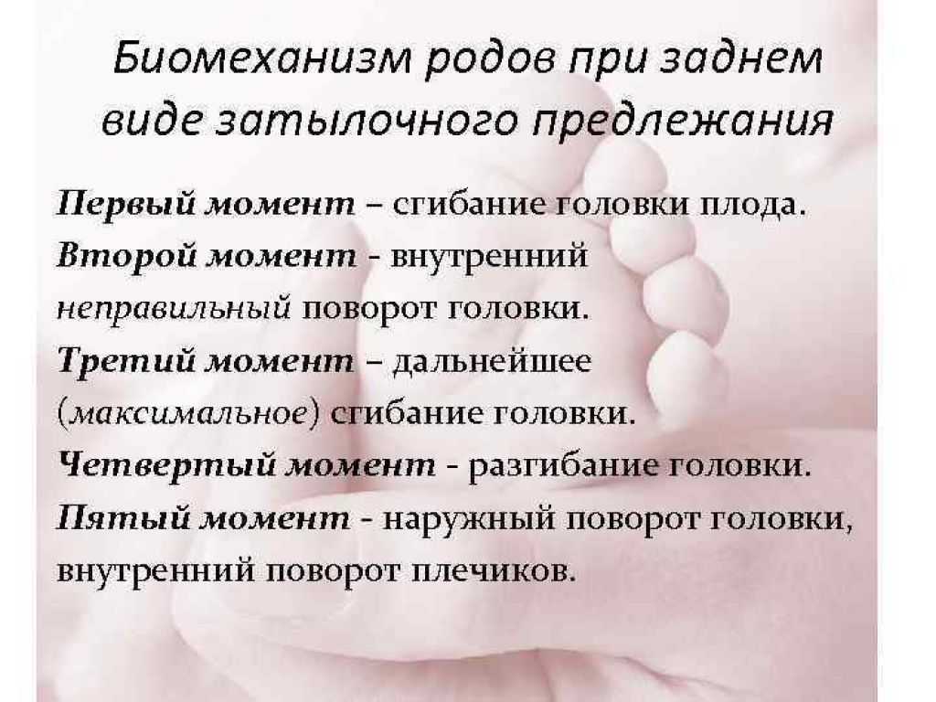 Биомеханизм родов при заднем виде затылочного предлежания презентация