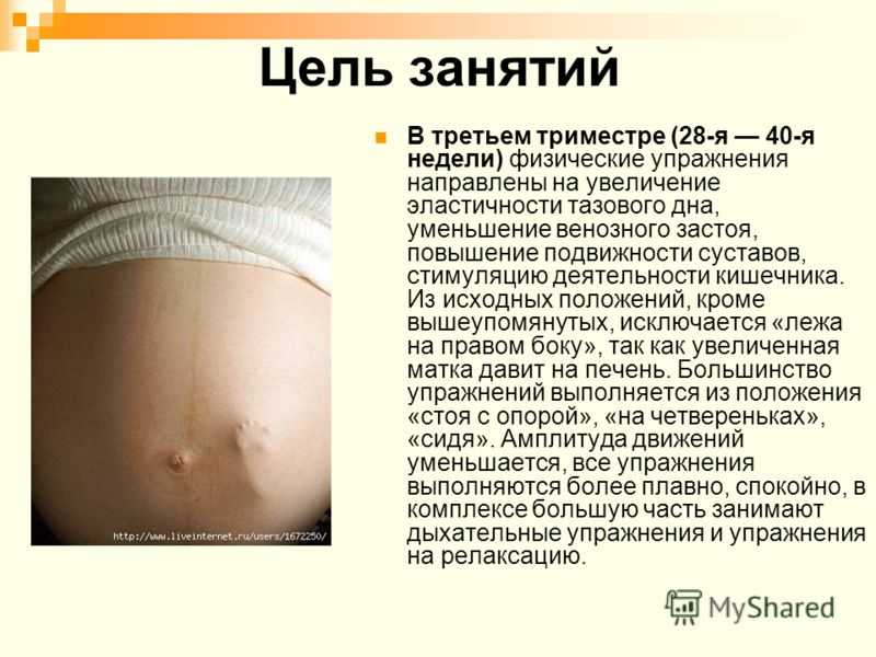 Беременность 3 недели боли в животе. Триместры беременности. Живот в 3 триместре беременности. Триместры во время беременности. Положение плода при беременности 2 триместр.