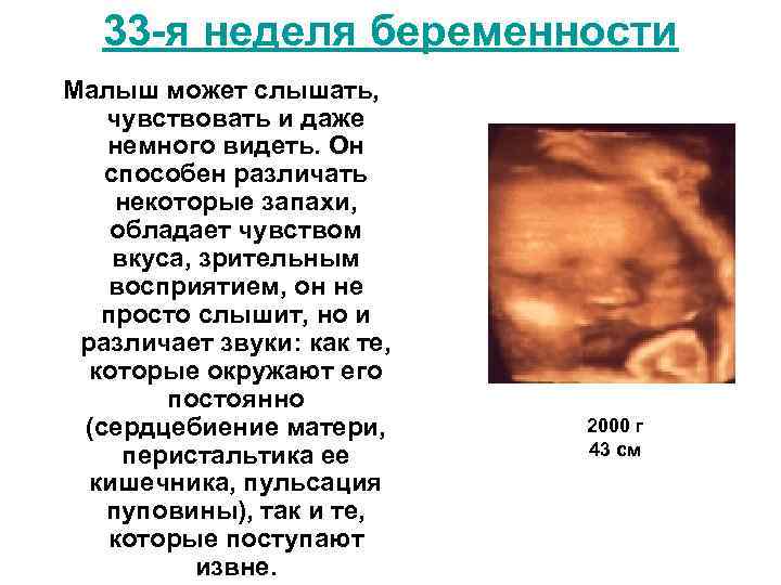 34 недель что происходит с малышом. Рост плода на 33 неделе беременности. Положение плода на 33 неделе беременности. 34 Неделя беременности вес. Вес ребёнка в 33 недели беременности.