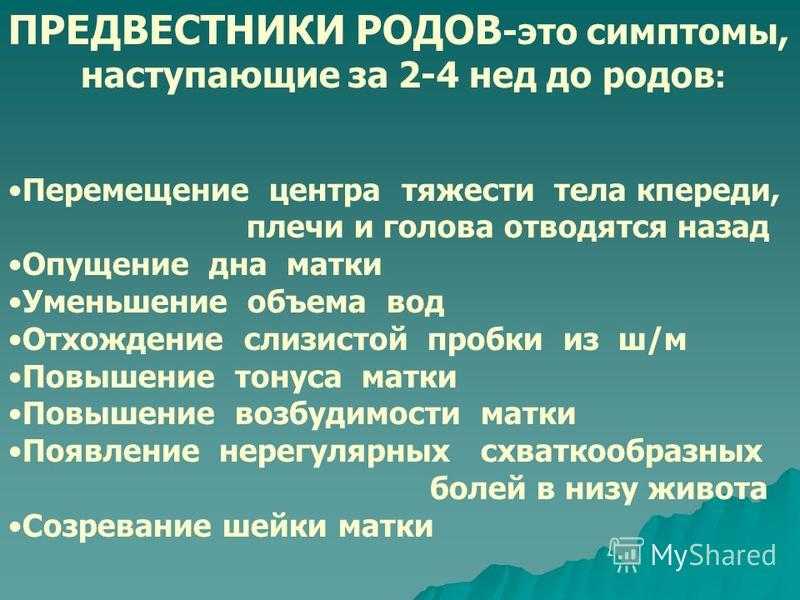 Какая пробка отходит перед родами у первородящих фото