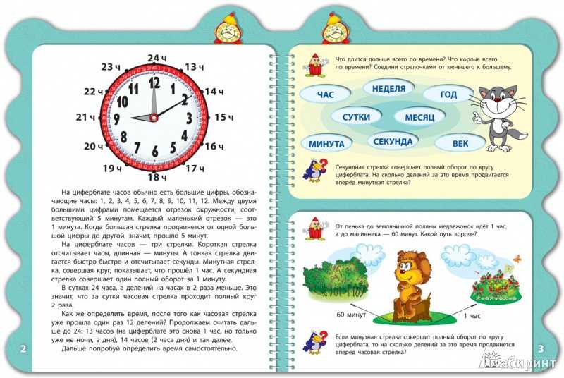 Проект время в старшей группе