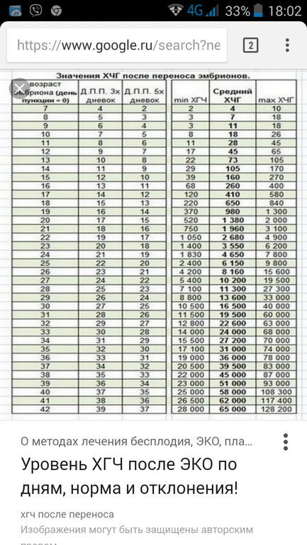 5 дней после переноса 5 дневок