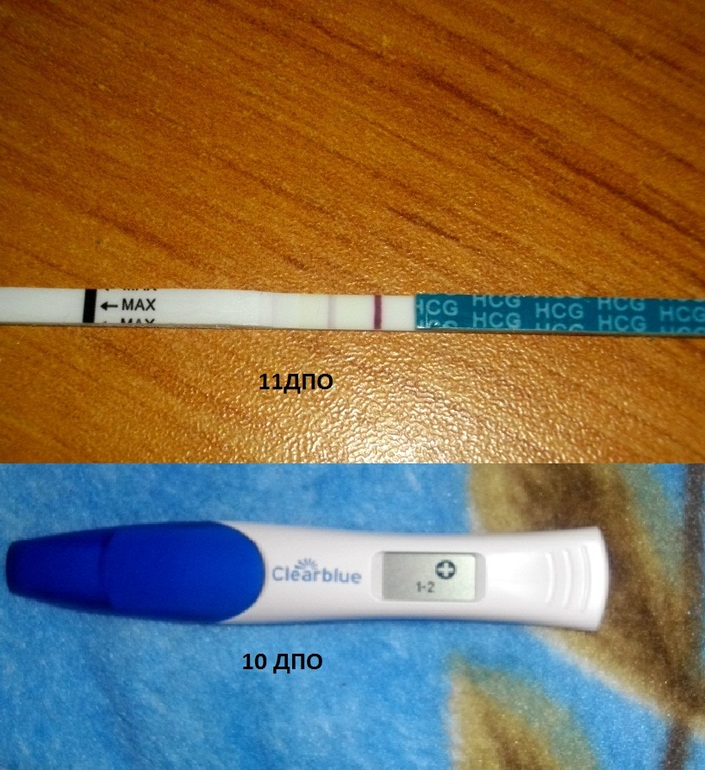 Тест определить неделю беременности