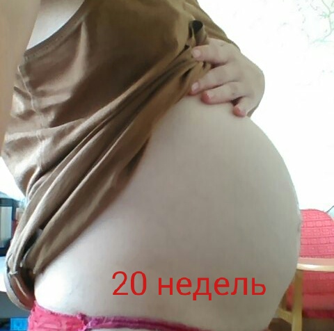 Экватор беременности. Живот беременной на 20 неделе. Живот на 20 неделе беременности мальчиком. Живот беременных на 6 месяце. Большой живот на 20 неделе беременности.