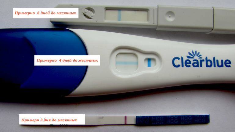 Тест на беременность за день до месячных