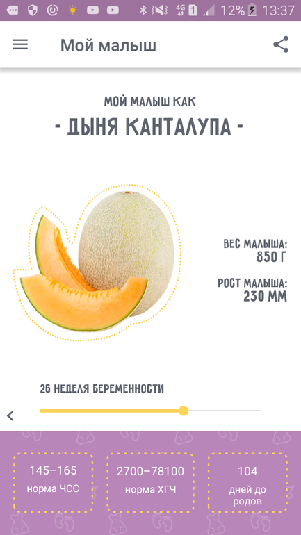Москва фруктовая расписание. Календарь беременности с фруктами. Приложение беременность по неделям фрукты. 13 Неделя мой малыш как. 28 Недель мой малыш как.
