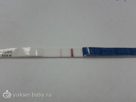 Тест полоска при внематочной беременности фото