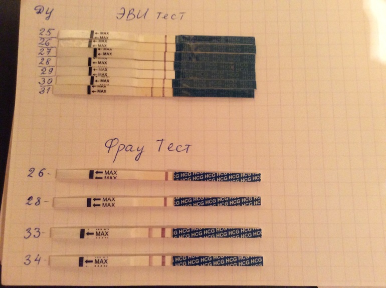 Тест подряд. Динамика фраутест и ХГЧ. Динамика тестов на беременность эвитест. Фраутест ДПО ХГЧ. Динамика тестов на беременность и ХГЧ по дням.