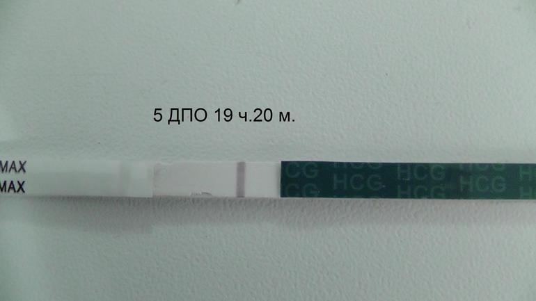 5 дней после па. 5 ДПО тест. 6-7 ДПО тест. Тест на беременность ДПО. 6 ДПО тест на беременность.