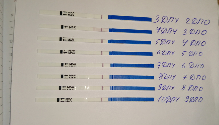 Беременность после отмены форум. 10 ДПУ 9 ДПО. Тесты после укола ХГЧ. Тест на 10 ДПО после укола ХГЧ 10000. Тесты после укола Овитрель.