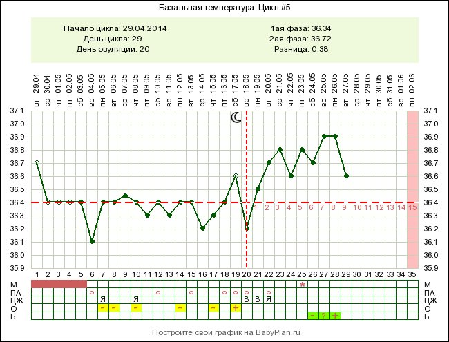 Как измерить базальную температуру для определения овуляции