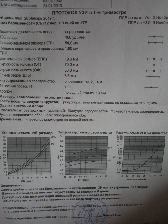 Носовые кости в 13 недель