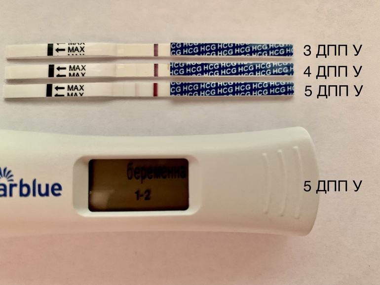 Тест на пятерку. 5дпп Эви. Тест на 5 ДПП пятидневок крио. 3 ДПП пятидневок тест. 4дпп тест на беременность отрицательный.