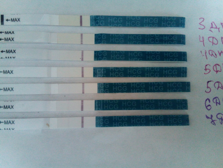 8 дпп тест отрицательный. 7 День подсадки эмбрионов. 6 ДПП. 6 ДПП тест. 7 ДПП четырехдневок ощущения.