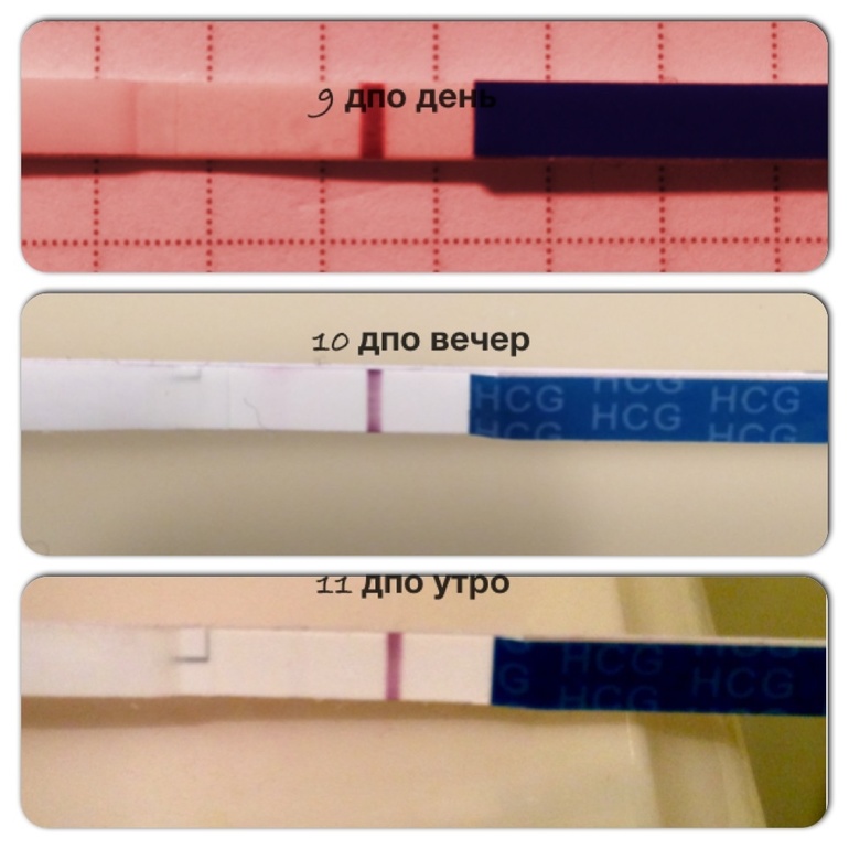 Дпо это. 10 ДПО тест отрицательный. 8 ДПО тест отрицательный. 11 ДПО вечер тест. 11 ДПО тест отрицательный.