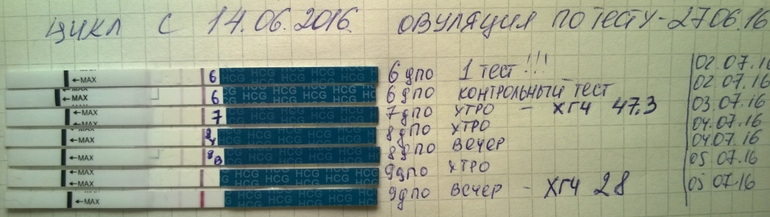 Если делать тест на беременность вечером. Тест на ХГЧ. Тест на беременность. Динамика тестов на беременность.