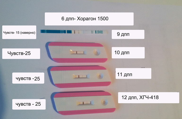 Дпп это. Тесты на беременность на 11 ДПП пятидневок. Тест на 11 день после подсадки.