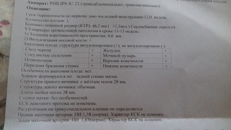 Нормы венозного протока pi