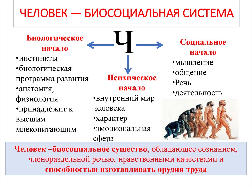 Развитие человека как личности и индивида проект по обществознанию 6 класс