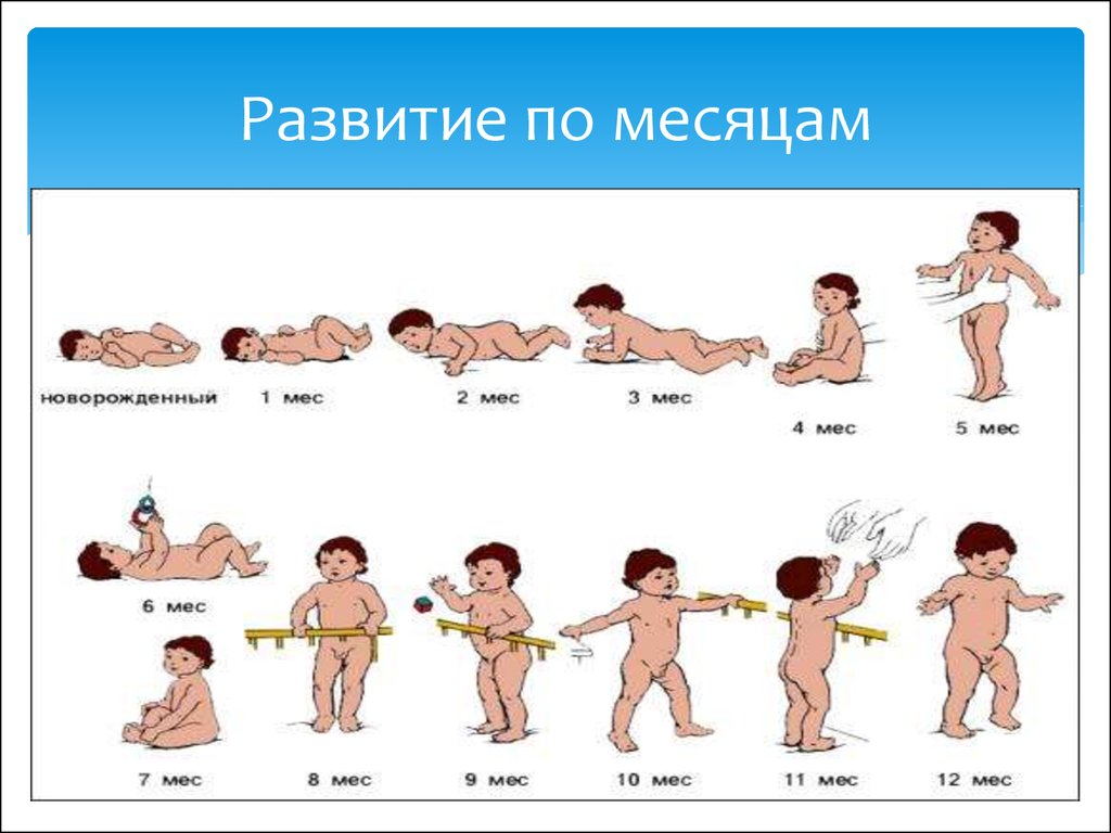 Схема развития ребенка до года по месяцам таблица