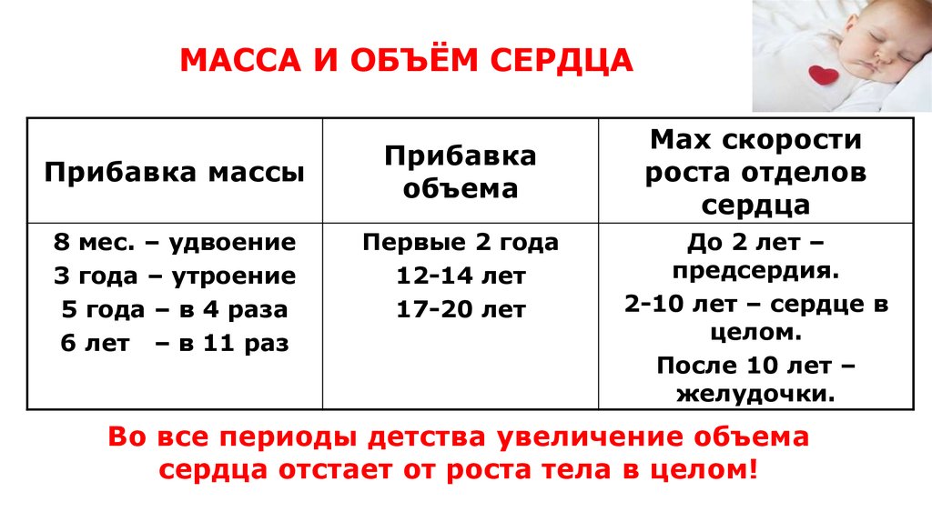 1 раз сколько лет. Объем сердца. Масса и объем сердца. Средний объем сердца. Увеличенный объем сердца.