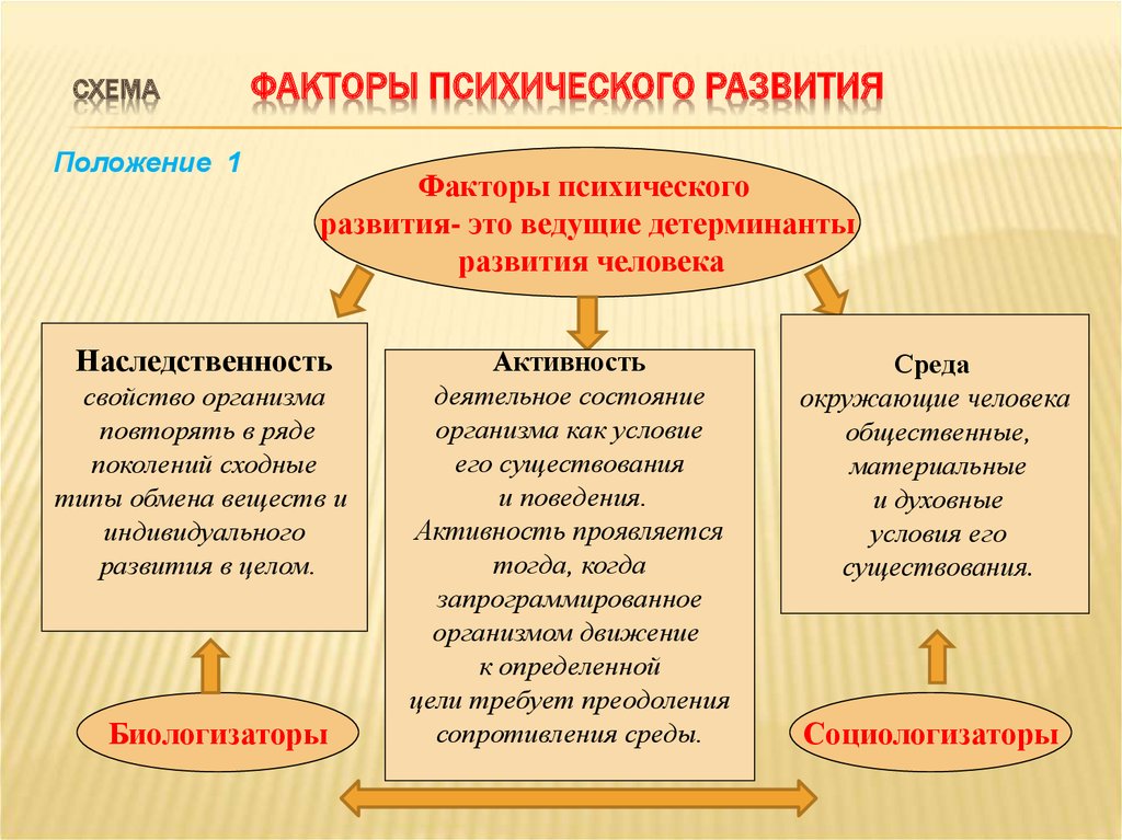 Раскройте влияние действий с предметами на развитие психики младенца составьте логическую схему