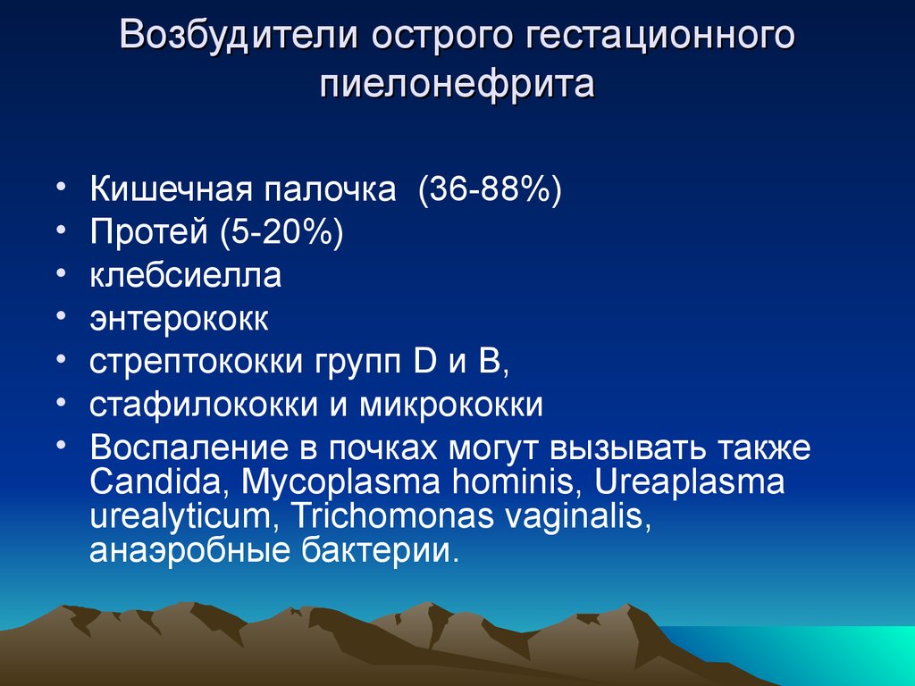 Гестационный пиелонефрит презентация