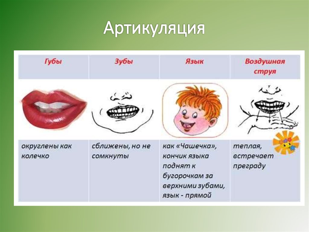 Артикуляция что это. Артикуляционная схема звука ш. Артикуляционная характеристика ш. Артикуляционная характеристика звука ш. Губы зубы язык воздушная струя.