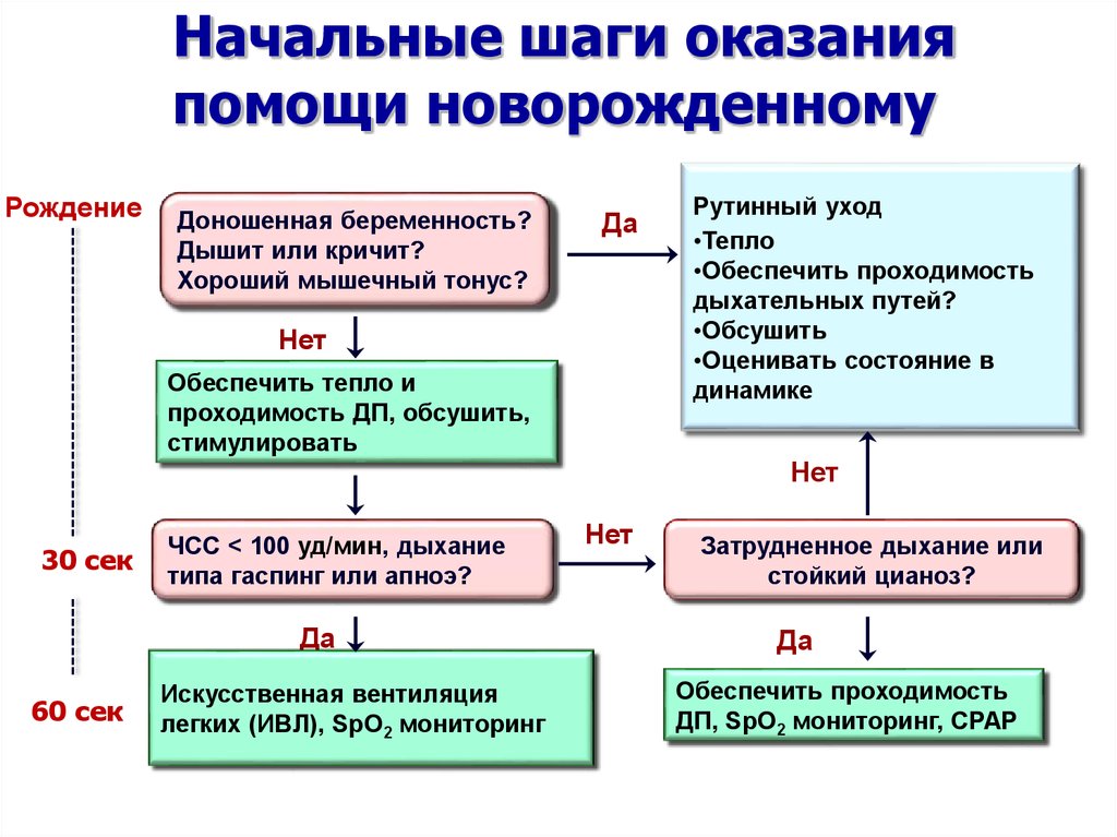 Алгоритмы новорожденных. Блока первичной реанимации новорожденных. Реанимация новорожденных алгоритм. Алгоритм реанимационных мероприятий новорожденному. Этапы реанимации новорожденного.