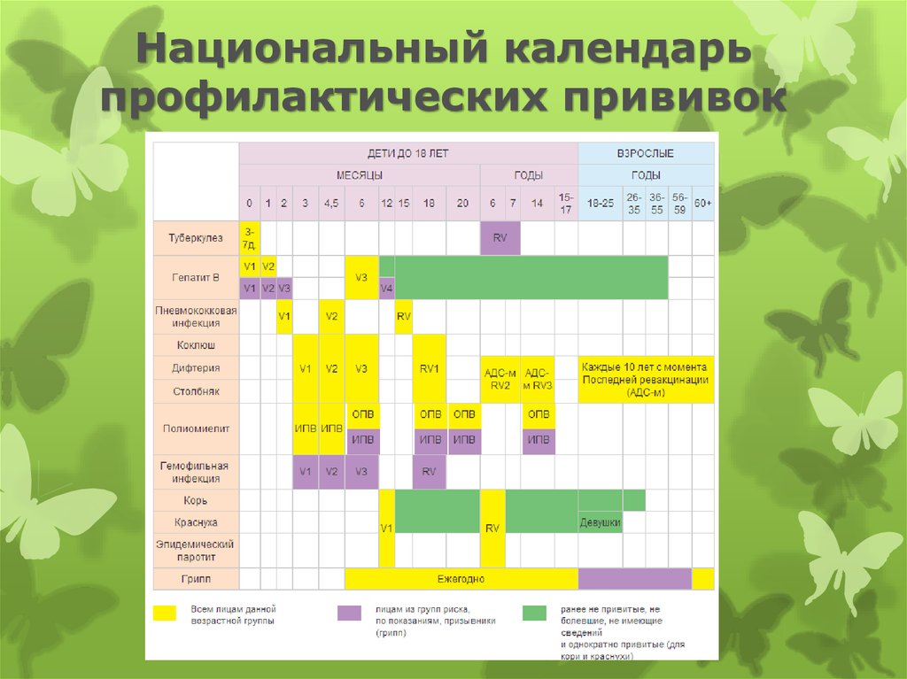 Презентация на тему календарь профилактических прививок