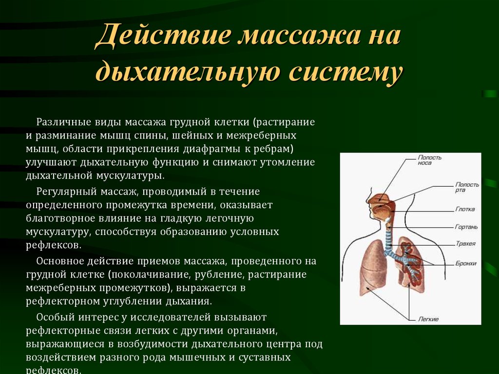 Нарушение дыхательной функции. Массаж при болезнях дыхательной системы. Влияние массажа на дыхательную систему. Воздействие массажа на систему органов дыхания. Массаж для дыхательной системы.