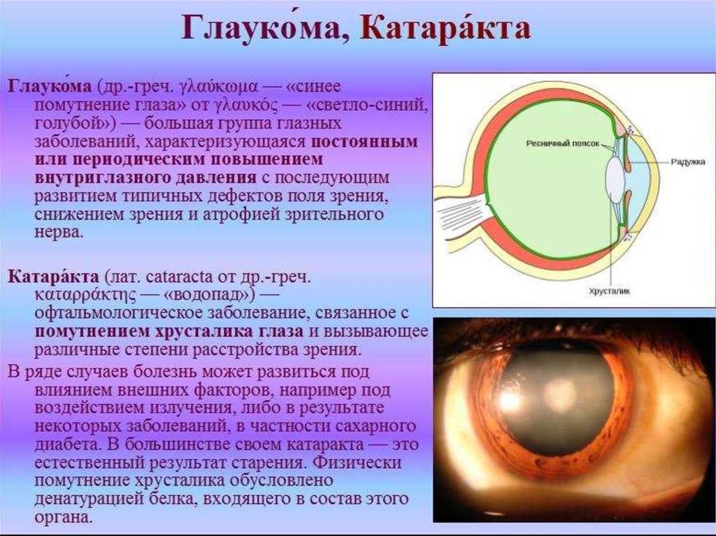 Эффект связанный с резко отличимыми друг от друга изображениями на каждой ретине двух глаз