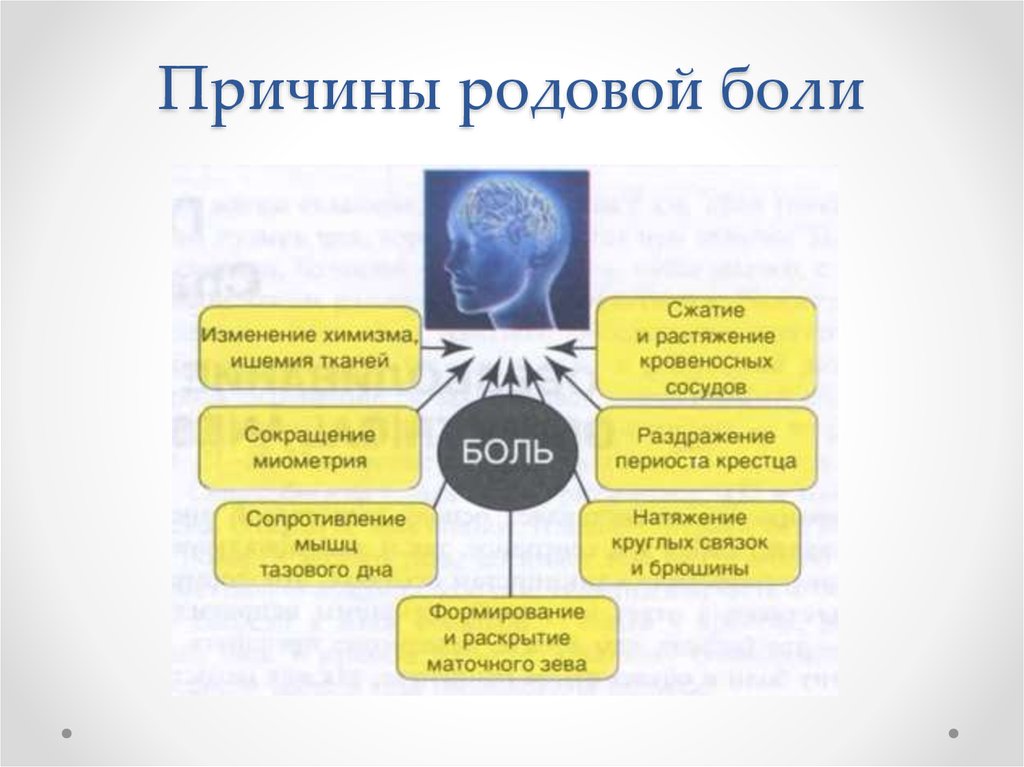 Боль при родах. Причины возникновения родовой боли. Механизм развития родовой боли причины родовой боли. Причины возникновения болевого синдрома в родах:. Причины родовой боли и попытки решения проблемы.