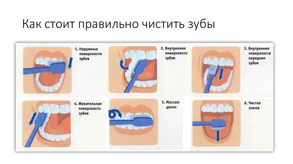 Чем отличается чистка зубов. Стандартный метод чистки зубов методика. Методы чистки зубов стандартный метод чистки зубов. Этапы стандартного метода чистки зубов. Алгоритм стандартного метода чистки зубов.